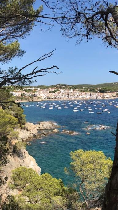 The Golden Oak In Calella Centre - 100M From Beach ปาลาฟรูเจย์ ภายนอก รูปภาพ
